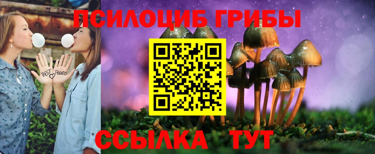 Новороссийск  купить наркотики сайты  Вход с VPN  Галлюциногенные грибы Magic Shrooms  Псилоцибиновые грибы ЛСД 