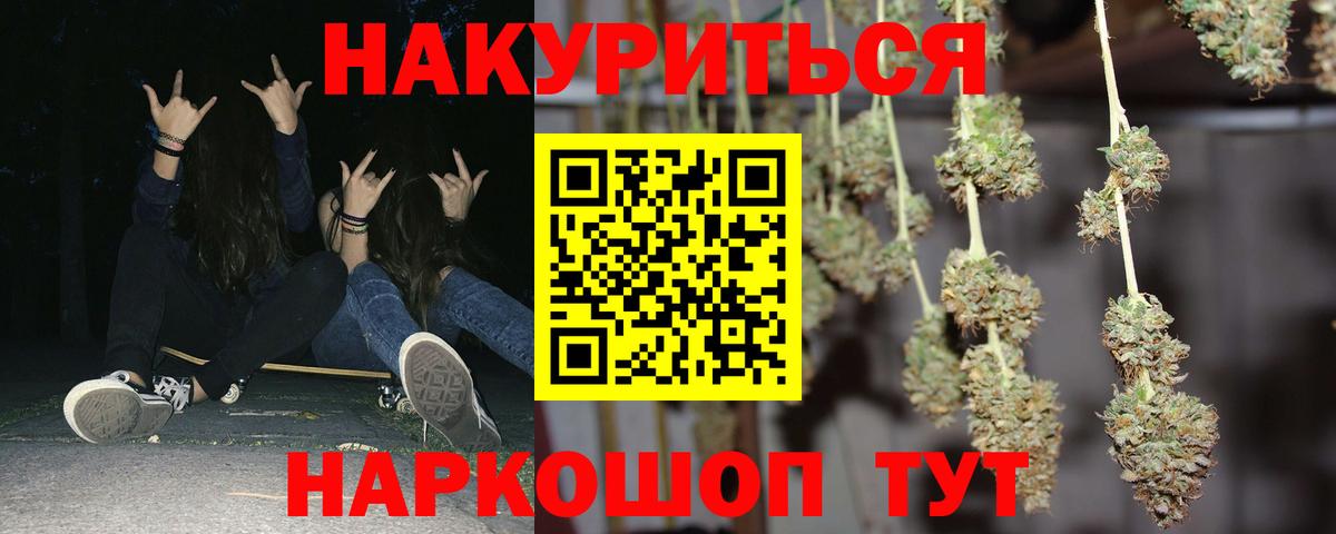Шишки марихуана конопля Новороссийск